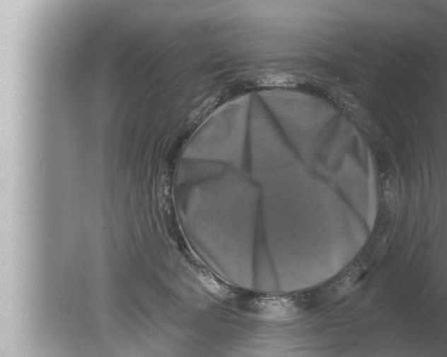 X0000080150322200612302134