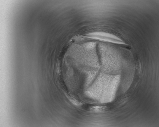 X0000080150323200612302134