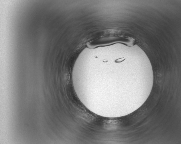 X0000080150324200612302134