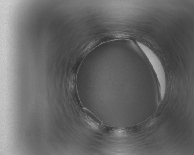 X0000080150325200612302134