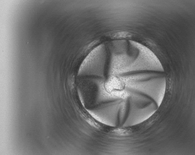 X0000080150326200612302134