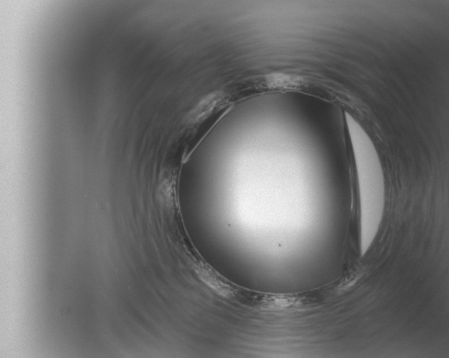 X0000080150329200612302134