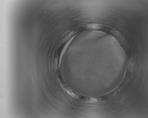 X0000080150330200612302134