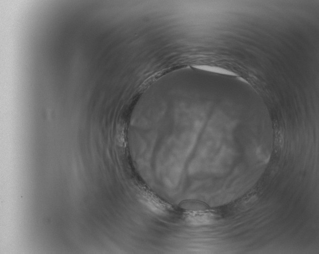 X0000080150331200612302134