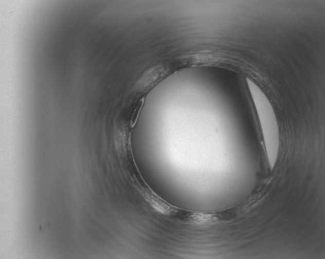 X0000080150333200612302134