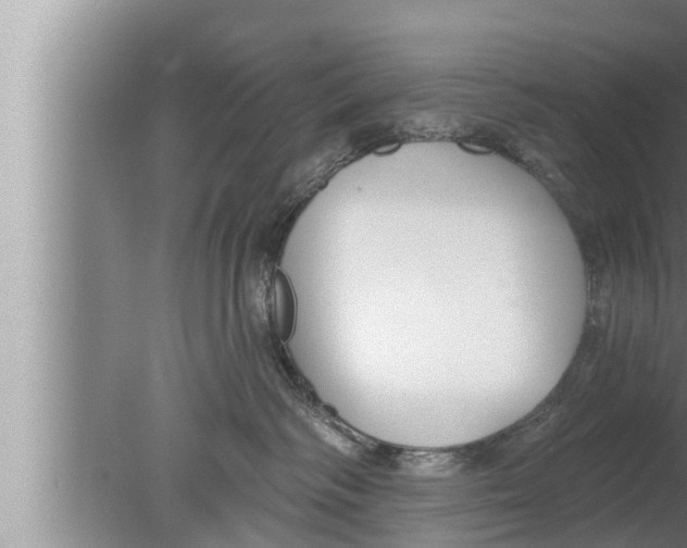 X0000080150334200612302134