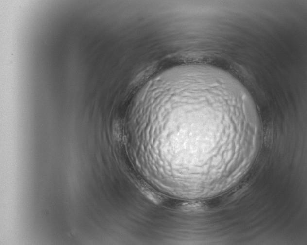 X0000080150335200612302134