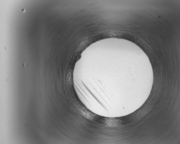 X0000080150336200612302134