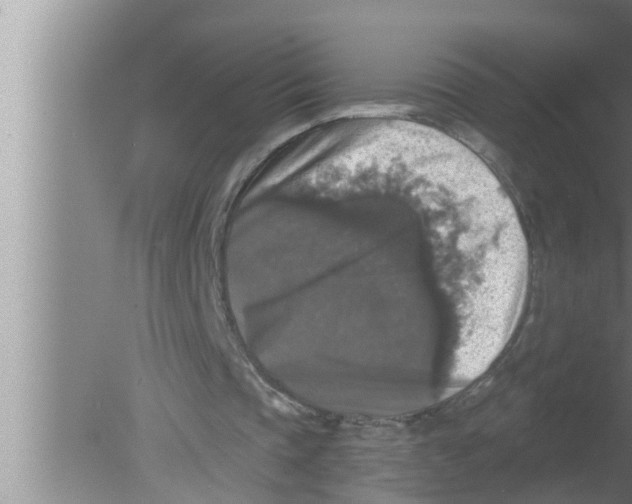 X0000080150337200612302133