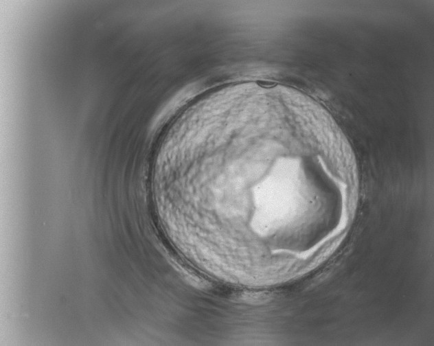 X0000080150341200612302133