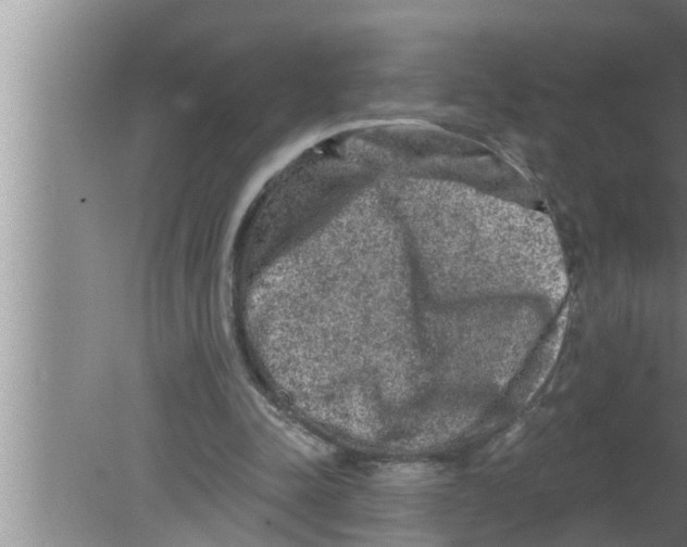 X0000080150342200612302133