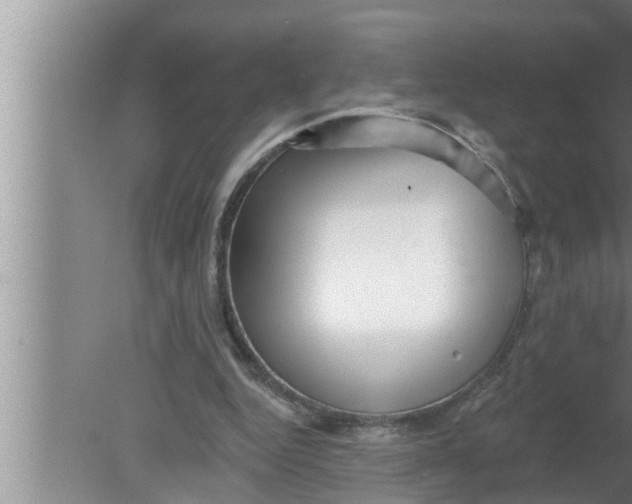 X0000080150344200612302133