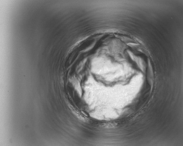 X0000080150345200612302133