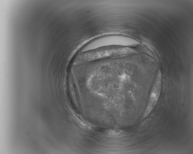 X0000080150346200612302133