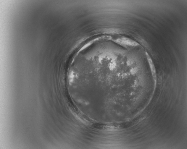 X0000080150347200612302133