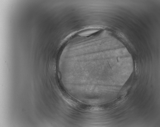 X0000080150348200612302133