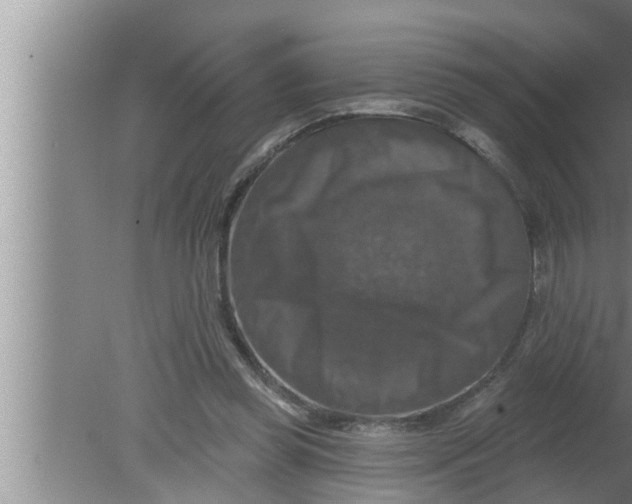 X0000080150349200612302133