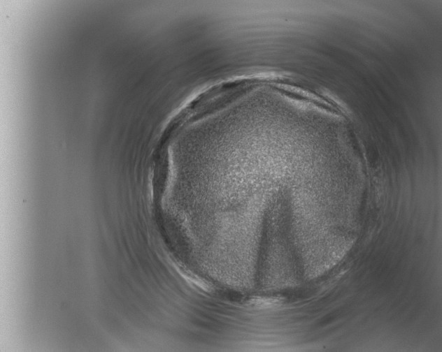 X0000080150350200612302133