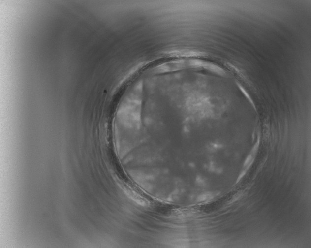 X0000080150351200612302133