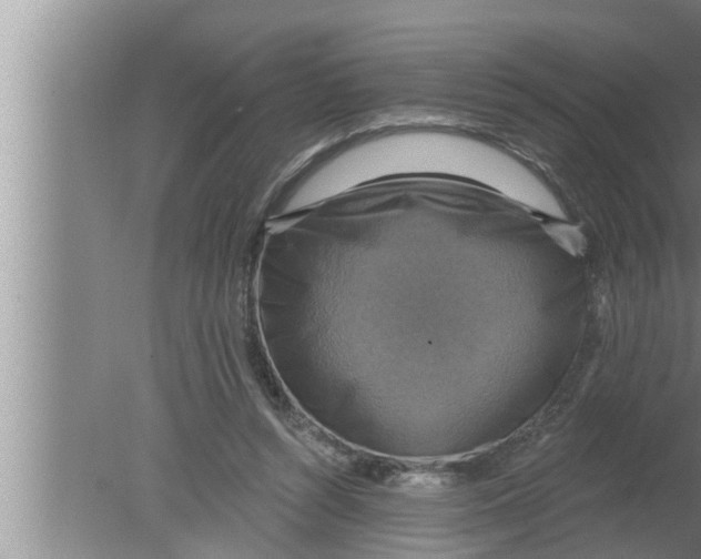 X0000080150352200612302133