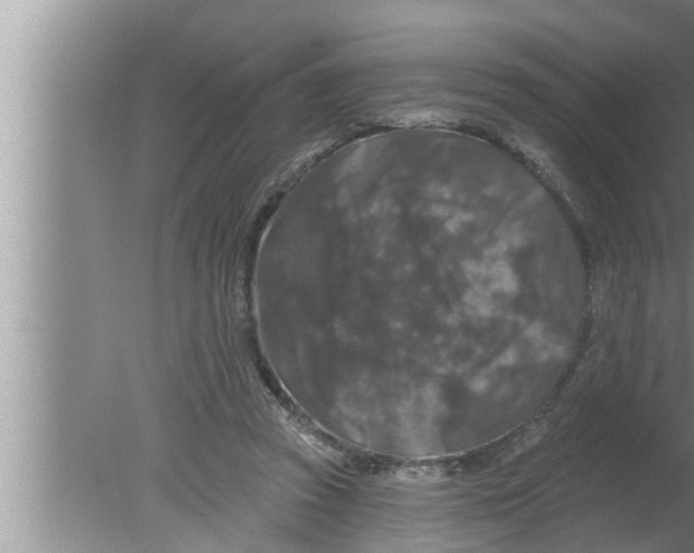 X0000080150353200612302133