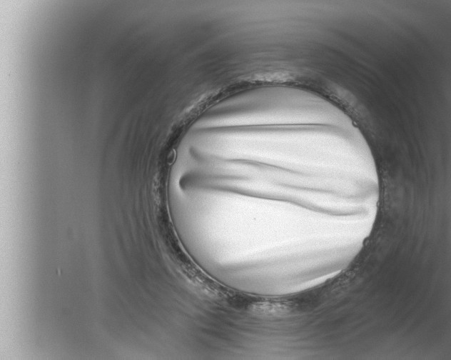 X0000080150354200612302133