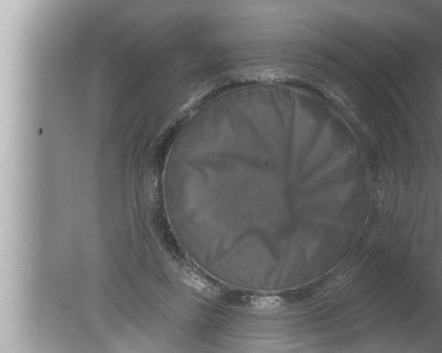 X0000080150355200612302133