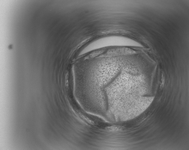 X0000080150356200612302133