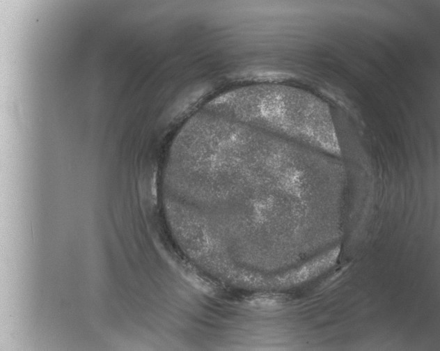 X0000080150358200612302133