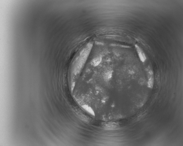 X0000080150359200612302133