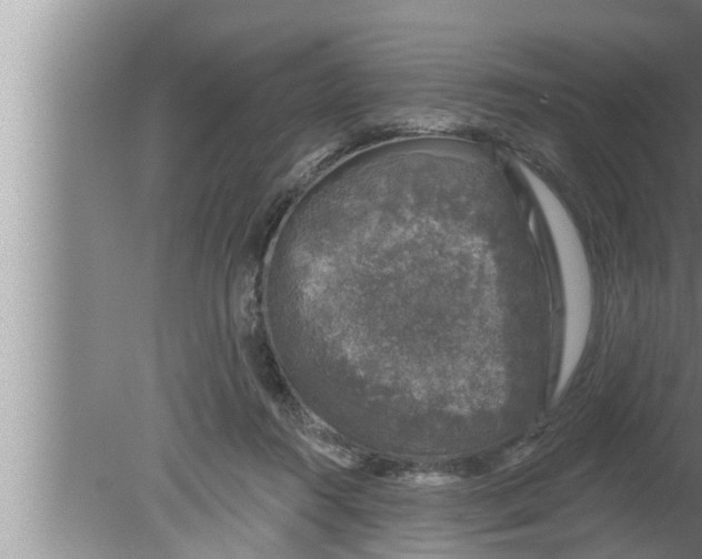 X0000080150360200612302133