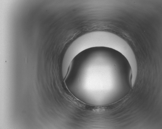 X0000080150362200612302134