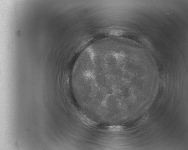 X0000080150363200612302134