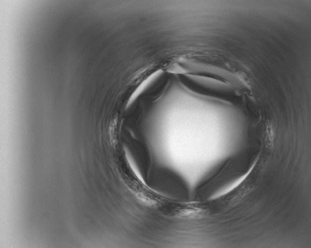 X0000080150364200612302134