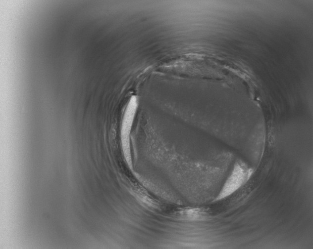 X0000080150365200612302134