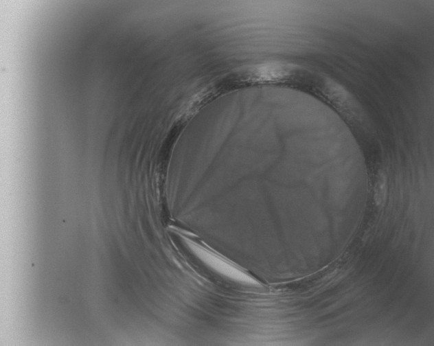 X0000080150366200612302134