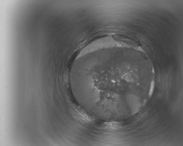 X0000080150367200612302134