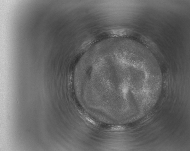 X0000080150369200612302134