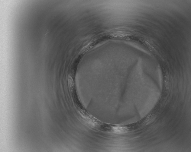 X0000080150371200612302134