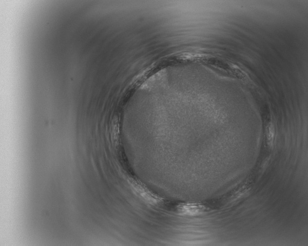 X0000080150372200612302134