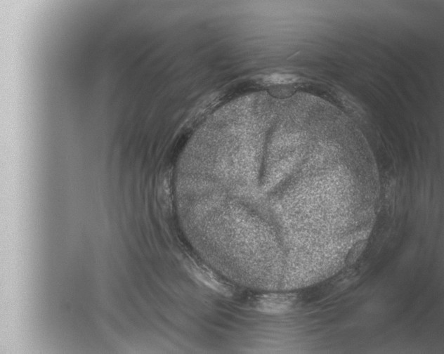 X0000080150373200612302134