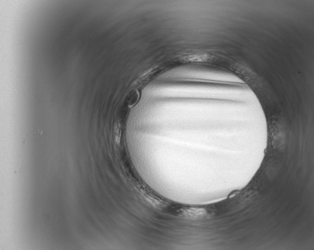 X0000080150374200612302134