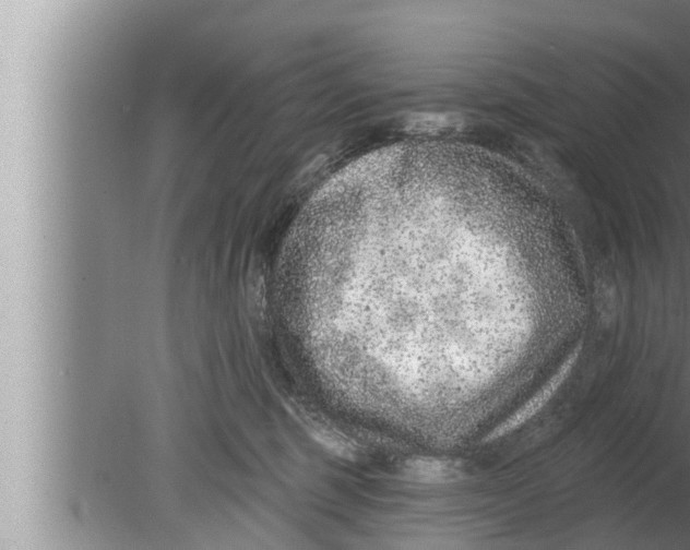 X0000080150375200612302134