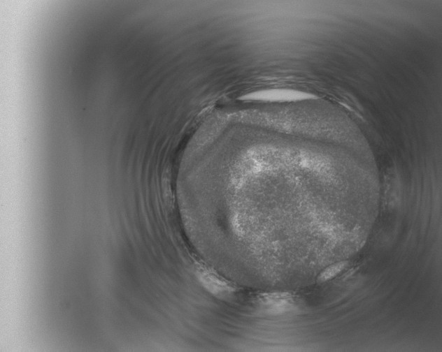 X0000080150377200612302134