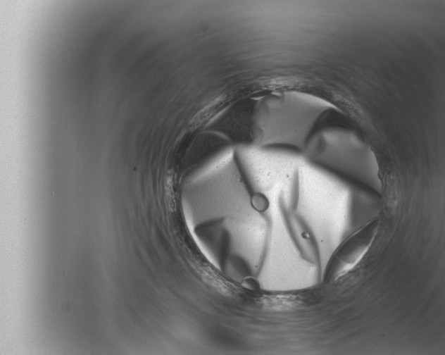 X0000080150378200612302134