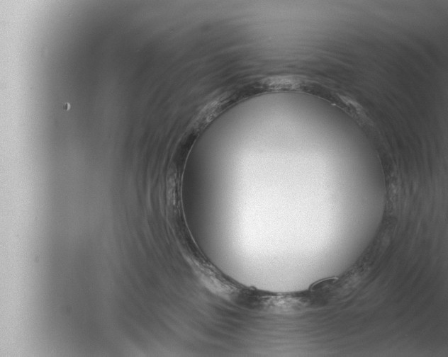 X0000080150379200612302134