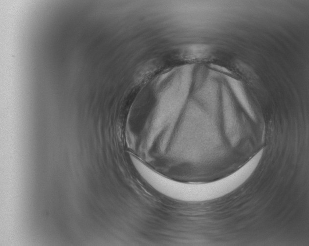 X0000080150380200612302134