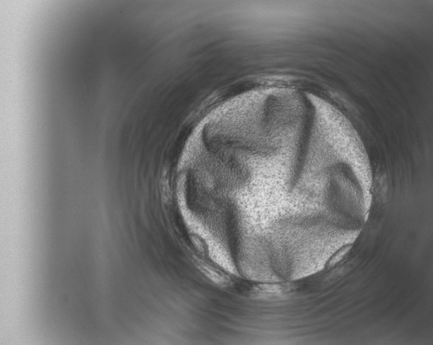 X0000080150381200612302134