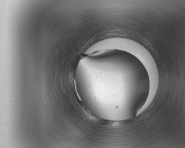 X0000080150382200612302134