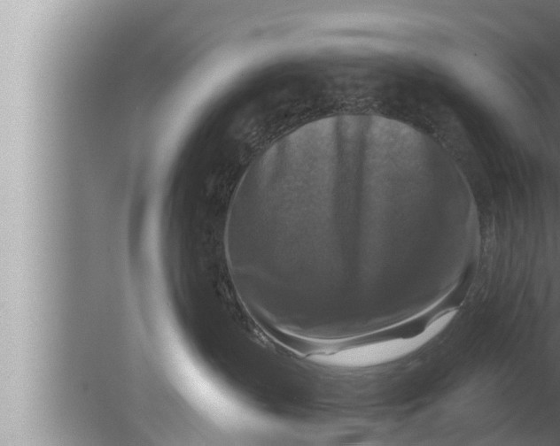 X0000080150383200612302134